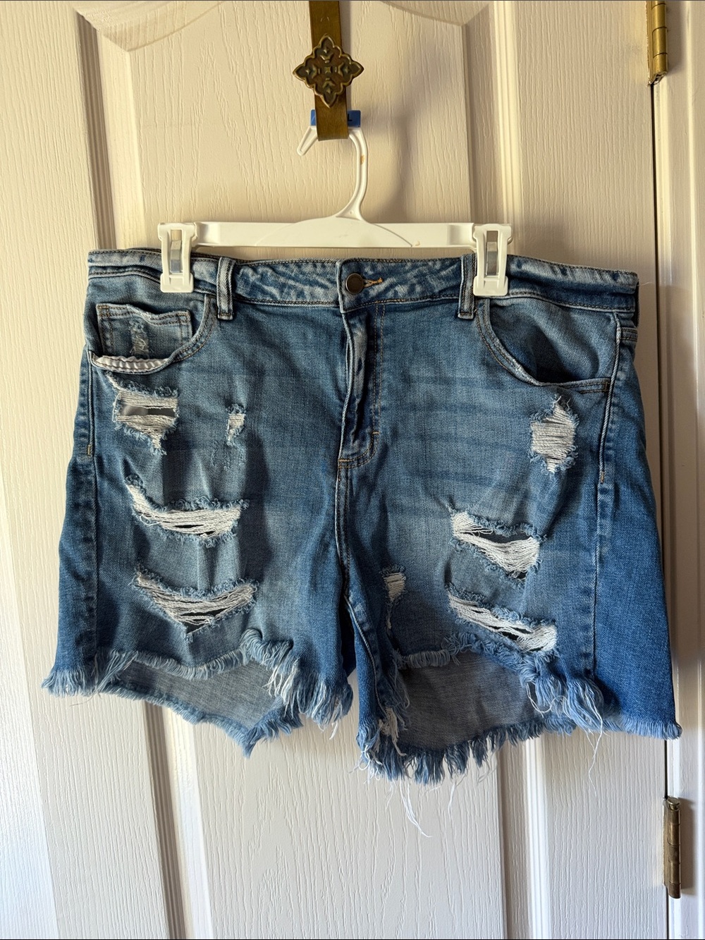 Blue Jean Shorts